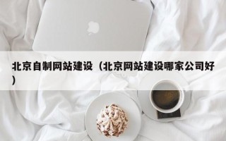 分宜北京自制网站建设（北京网站建设哪家公司好）